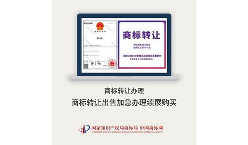 伊宁商标注册代理服务选择指南 如何找到靠谱的代理公司